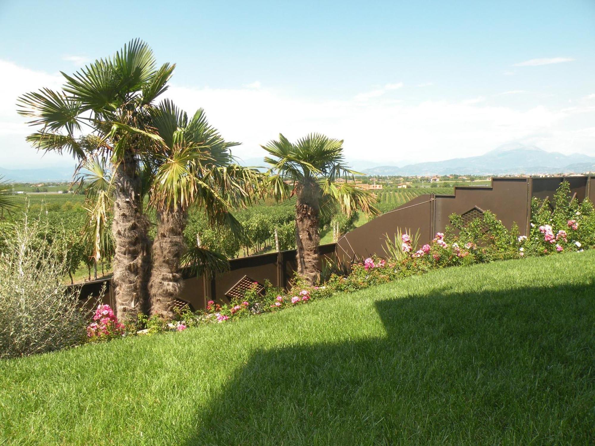 Sweet Life Bed & Breakfast Peschiera del Garda Ngoại thất bức ảnh
